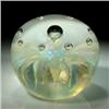 Image 1 : Seaview Art Glass 1998 "Anemone" paperweight