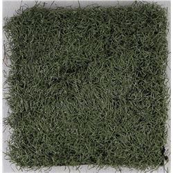 Tropicana Field 2008 World Series Game-Used 12x12 Field Turf (MLB Hologram)