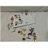 Image 1 : BOX LOT VINTAGE LAPEL PINS COLLAR TIE MORE