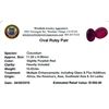 Image 2 : 10.62ctw Oval Mixed Ruby Parcel