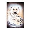 Image 3 : Polar Bears by Katon, Martin