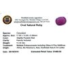 Image 2 : 12.32ctw Oval Ruby Parcel