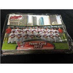 2012 Winnipeg Goldeyes Team Card Set