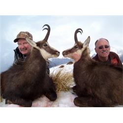 New Zealand:  New Zealand Horn and Antler - Waimate