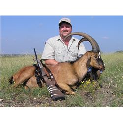 Texas: Mike Simpson’s Conroe Taxidermy - Bedias