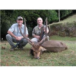 Mauritius: Vacances Aventures and the Sugar Beach Hotel and Resort - Flic en Flac