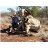 Image 9 : South Africa: Hunter Safaris ZA - Limpopo