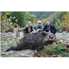 Image 10 : Turkey: Wild Hunting Agency - Adana