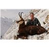 Image 2 : Turkey: Wild Hunting Agency - Adana