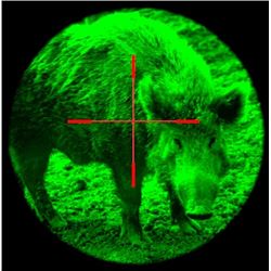 Texas: Lost Horizons Outfitters - Anahuac