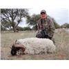 Image 13 : Argentina: El Pampa Hunting Ranch – La Pampa