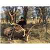 Image 20 : Argentina: El Pampa Hunting Ranch – La Pampa