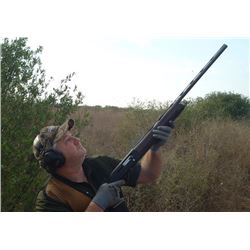 Argentina: Wingshooting Unlimited - Santiago del Estero