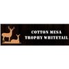 Image 10 : Texas: Cotton Mesa Trophy Whitetail Ranch - Corsicana