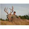 Image 4 : Texas: Cotton Mesa Trophy Whitetail Ranch - Corsicana