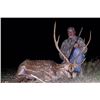 Image 1 : Texas: Vast Valley Big Game Hunters – Rock Springs