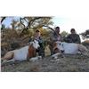 Image 5 : Texas: Vast Valley Big Game Hunters – Rock Springs