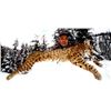 Image 2 : Canada: BC Trophy Mountain Outfitters - SW British Columbia