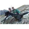 Image 8 : Canada: BC Trophy Mountain Outfitters - SW British Columbia
