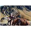 Image 6 : New Zealand: Alpine Hunting New Zealand - North Island