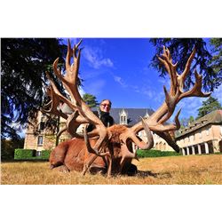 France: France Safaris - Aveyron