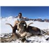 Image 2 : Kyrgyzstan: AR Hunting Consultant - Bishkek