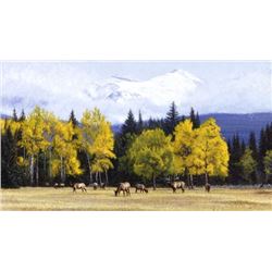 Giclée Canvas by John Banovich