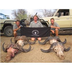 South Africa: Thormählen & Cochran - Mpumalanga