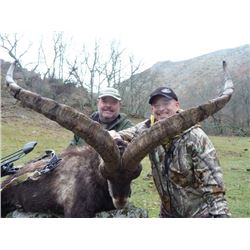 Spain: Giuseppe Carrizosa-Spain - Toledo Mountains/Cork Forest