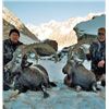 Image 2 : Kyrgyzstan: AR Hunting Consultant - Bishkek