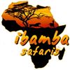 Image 10 : South Africa: ibamba safaris – Limpopo
