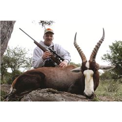 South Africa: ibamba safaris – Limpopo