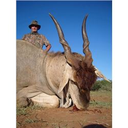 South Africa: Pro Hunt Africa - Limpopo