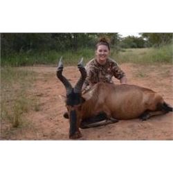 South Africa: Global Safaris - Limpopo*