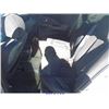 Image 7 : 2003 - NISSAN ALTIMA