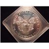 Image 2 : 1987 AMERICAN SILVER EAGLE UNC