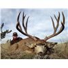 Image 3 : Oregon State Access &Habitat Board Statewide Combo Deer & Elk Tag