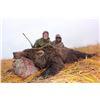 Image 3 : Brown Bear Hunt in Unit 9E of Alaska.
