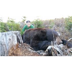 Black Bear Hunt in British Columbia