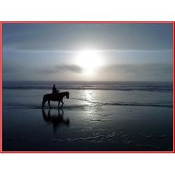 "Rib Eye Ride"  Sunset dining and the beach on horseback!