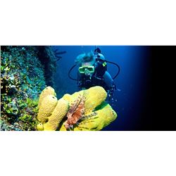 Belize Fishing & Diving Trip