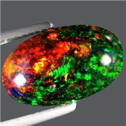 Natural Harlequin Black Opal 4.19 carats