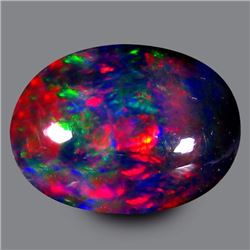 Natural Harlequin Black Opal 2.775 carats