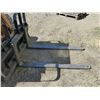 Image 1 : PALLET FORKS