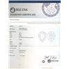 Image 4 : EGL USA Cert 2.84ctw Diamond Ring - Platinum