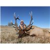 Image 1 : *Colorado – 5 Day – Rocky Mountain Elk Hunt for One Hunter