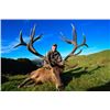Image 1 : *New Zealand – 4 Day – Red Stag Hunt for One Hunter