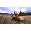 Image 1 : *British Columbia – 7 Day- Rocky Mountain Elk Hunt One Hunter
