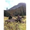 Image 1 : *Alberta – 7 Day – Elk and Wolf Hunt for One Hunter