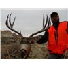Image 1 : *Montana – 5 – Day - Mule Deer or Whitetail Deer Hunt for One Hunter